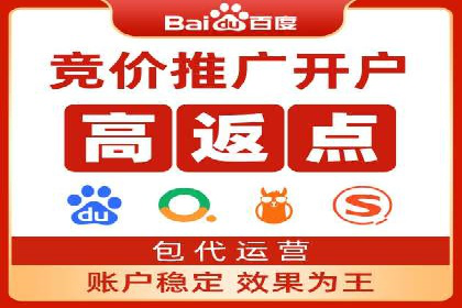 SEM托管服务成功案例：让广告投放更精准、更高效